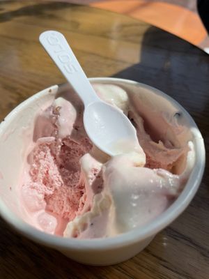 Ellen's Homemade Ice Cream by null