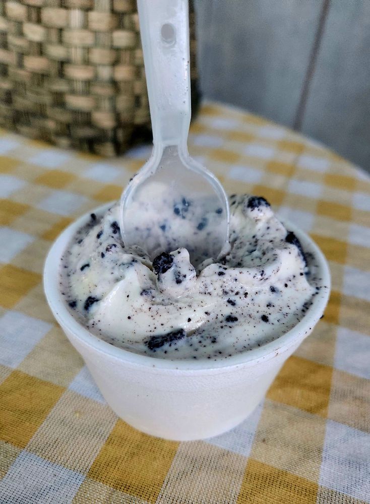 Palmyra Tasty Freeze Logo