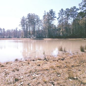 Lake Houston Wilderness Park - Parks Near Me - New Caney, Texas Lake Houston Wilderness Park - Parks Near Me - New Caney, Texas