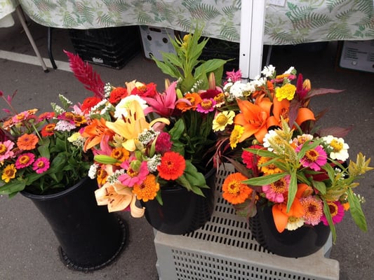 Southwest Farmers Market by null