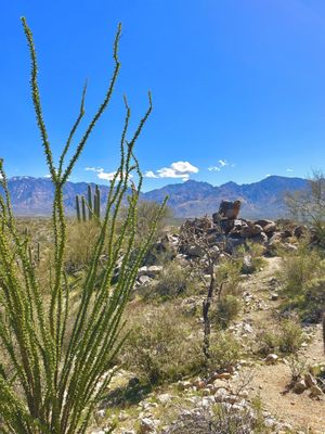Honey Bee Canyon by null