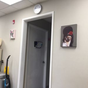 aloha affordable veterinary