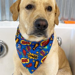 Muddy Marley’s Dog Wash