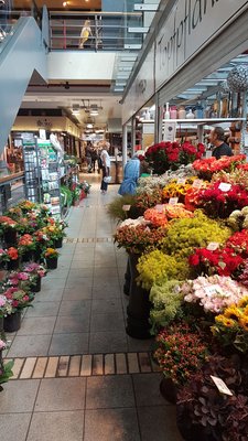 Mercado by null