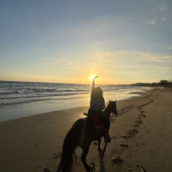 Los Padres Outfitters - Sunset beach ride. Proposal package - Horseback Riding Near Me - Carpinteria, California Los Padres Outfitters - Sunset beach ride. Proposal package - Horseback Riding Near Me - Carpinteria, California