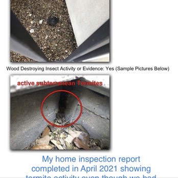 Stampede Pest Control - Inspection saying we have termites - Pest Control Near Me - Cypress, Texas Stampede Pest Control - Inspection saying we have termites - Pest Control Near Me - Cypress, Texas