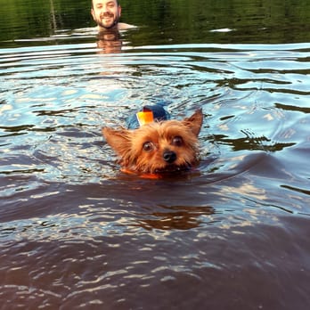 Colgate Lake - The dog got to swim! - Lakes Near Me - East Jewett, New York