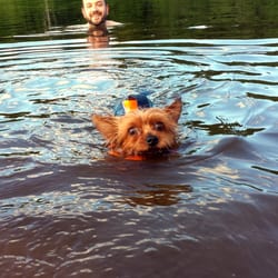 Colgate Lake - The dog got to swim!
