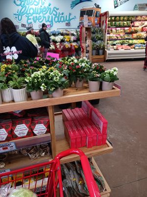 Trader Joe's by null