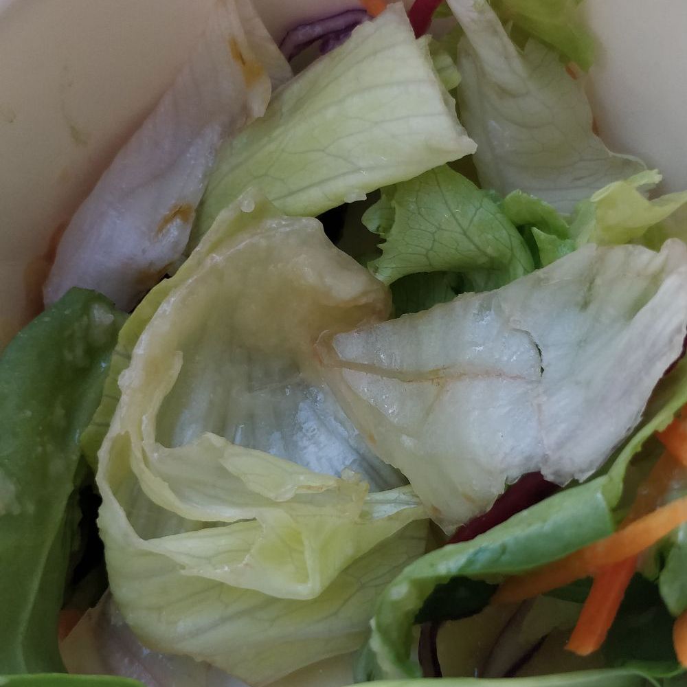 Kibo Sushi House - Lettuce wasnt fresh - Sushi Bars Near Me - Toronto, Ontario Kibo Sushi House - Lettuce wasnt fresh - Sushi Bars Near Me - Toronto, Ontario