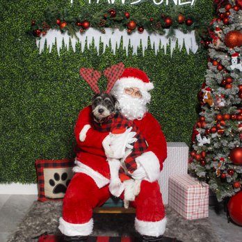 4 Paws Only  - Christmas - Pet Groomers Near Me - Staten Island, New York