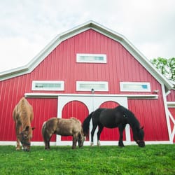 Canterbury Creek Farm School