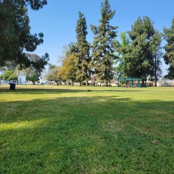 Charter Oak Park - Can you spot my dog?