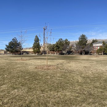 Hilltop Park - Grassy area near playground. - Parks Near Me - Reno, Nevada