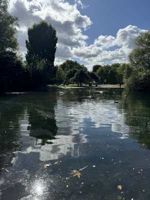 St Stephen's Green by null