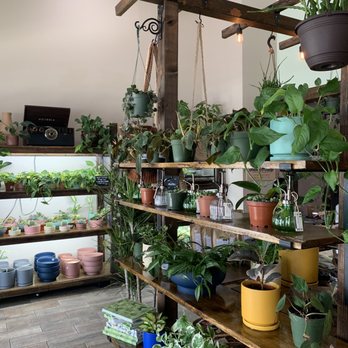 Mundial Coffee - nursery - Coffee & Tea Near Me - Riverside, California