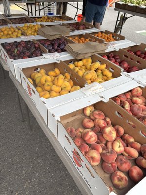Tonnemaker Valley Farm & Woodinville Farm Stand by null