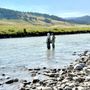 Photo of Wild Trout Outfitters