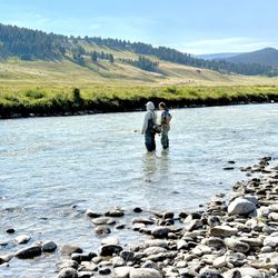 Wild Trout Outfitters