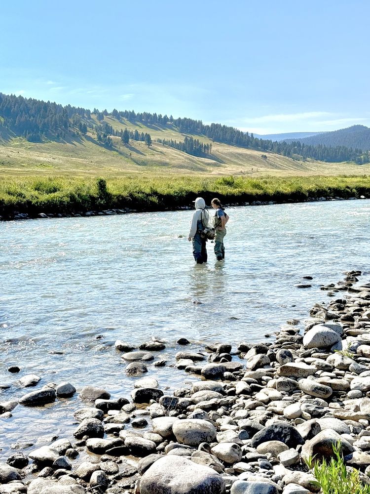 Wild Trout Outfitters Logo