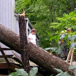 user provided Johnny Timbers Tree Service photo