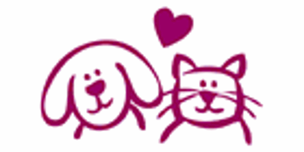 VET CLINIC GRAND FALLS CLI VET Updated September 2024 44 Rue