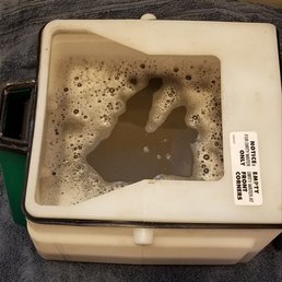 The moment you realize your carpet isn't as clean as you thought The moment you realize your carpet isn't as clean as you thought