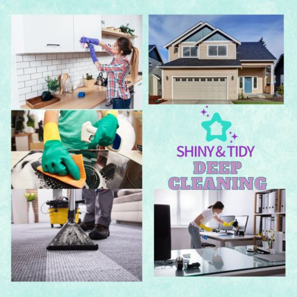 SHINY & TIDY CLEANING SERVICES - Request a Quote - 18 Photos ...