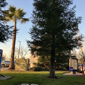 Taco Bell - View from the drive thru. - Fast Food Near Me - Sacramento, California