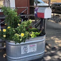 Red Barn Bar-B-Que - Planter