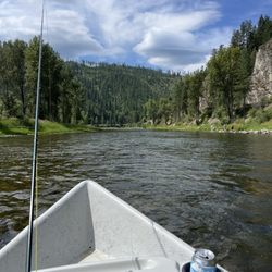 White Pine Outfitters