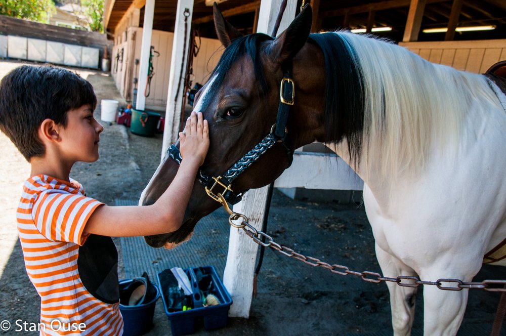 Pleasant Street Stable - equestrian in Glendale, CA