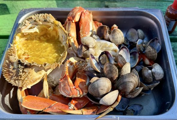 Kelly's Brighton Marina & Campground by null