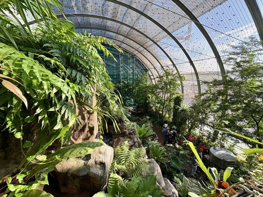 Butterfly Garden by null