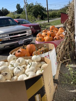 Brosi's Sugartree Farms by null