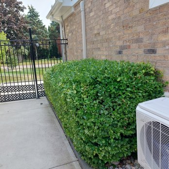 Franco for Hire - Gardeners Near Me - Niagara-on-the-Lake, Ontario Franco for Hire - Gardeners Near Me - Niagara-on-the-Lake, Ontario