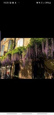 Hôtel Les Templiers by null
