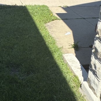 Mister Warriors Garden - The lawn he did. - Lawn Services Near Me - Chicago, Illinois Mister Warriors Garden - The lawn he did. - Lawn Services Near Me - Chicago, Illinois