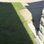 Photo of Mister Warriors Garden