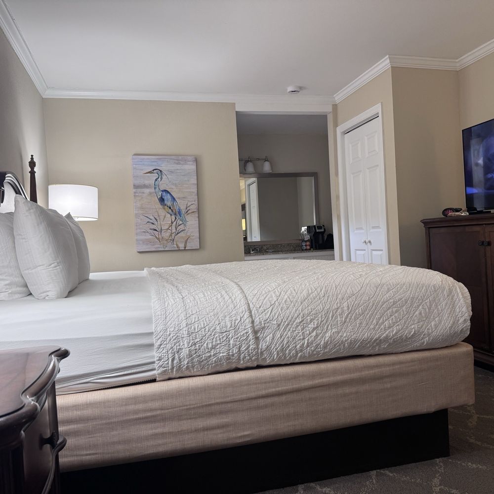 Best Western Plus Santee Inn - Queen room - Hotels Near Me - Santee, South Carolina Best Western Plus Santee Inn - Queen room - Hotels Near Me - Santee, South Carolina