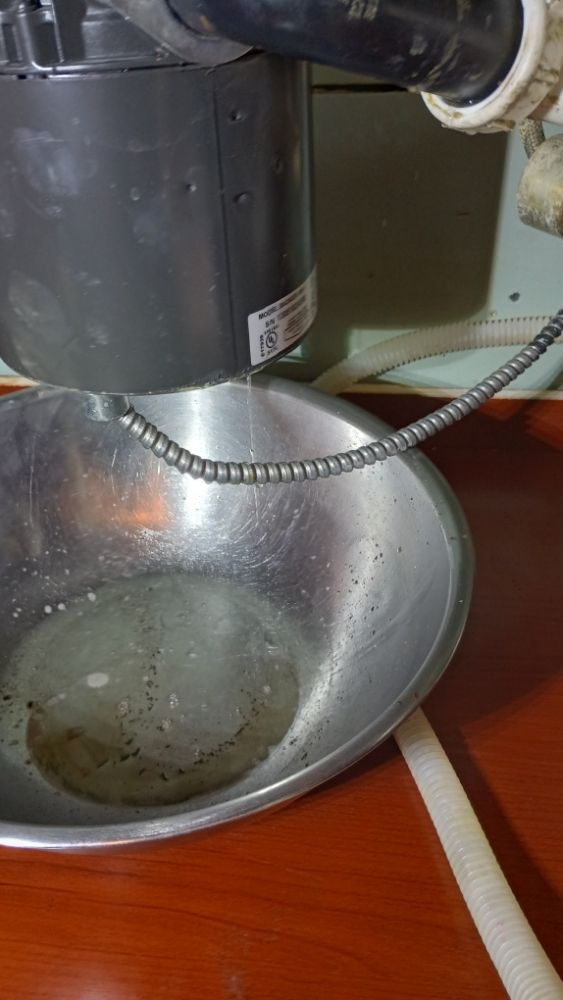 Slide of Bliss Plumbing & Drain