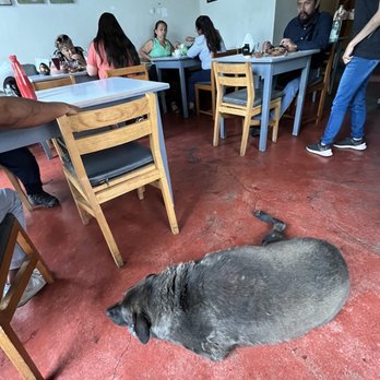 La Popular - Mexican Near Me - Oaxaca, OAX La Popular - Mexican Near Me - Oaxaca, OAX