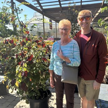 Moana Nursery - Sparks - Nurseries & Gardening Near Me - Sparks, Nevada Moana Nursery - Sparks - Nurseries & Gardening Near Me - Sparks, Nevada