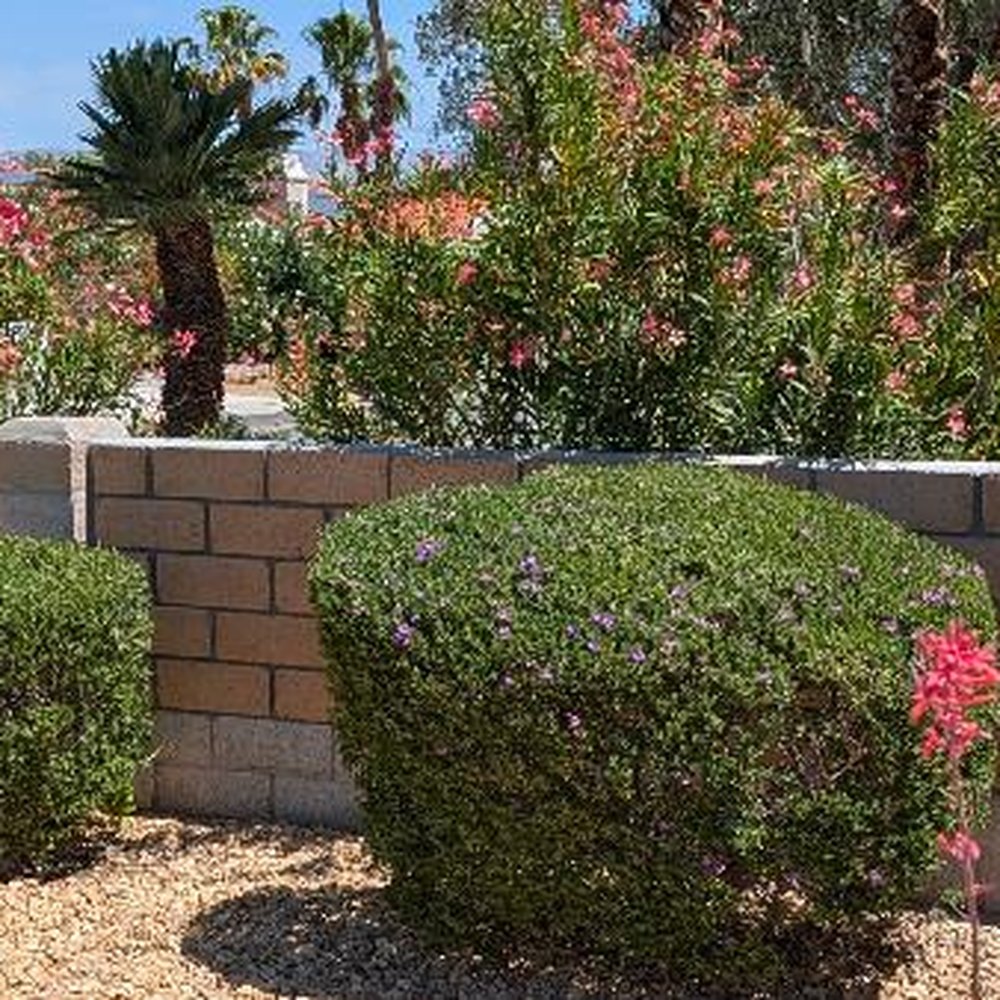 Briones Construction - From chain-link to solid wall - Electricians Near Me Briones Construction - From chain-link to solid wall - Electricians Near Me