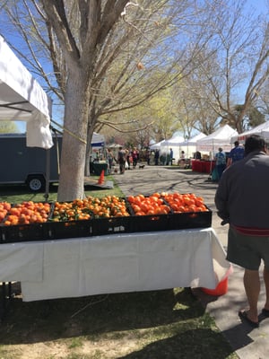 Las Vegas Farmers Market LLC at Floyd Lamb Park by null