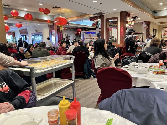 Dim Sum King Seafood Restaurant by null