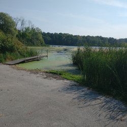 Hartlaub Lake - I'm too far away