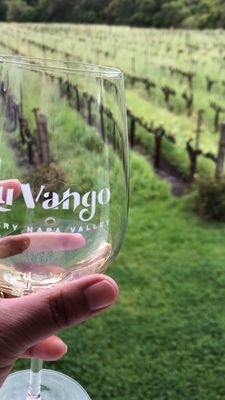 Napa Valley Wine Country Tours by null