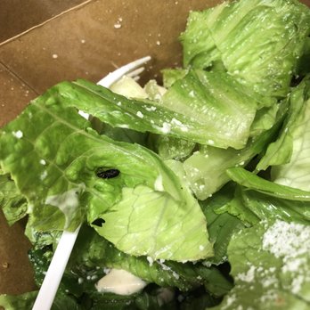 Pappas Pizza - A live bug was in my salad - Pizza Near Me - Stamford, Connecticut Pappas Pizza - A live bug was in my salad - Pizza Near Me - Stamford, Connecticut