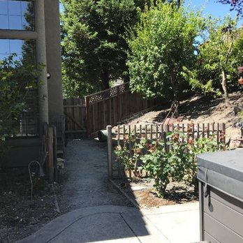 Arreola Landscape and Pool Design - Old West Side - Landscaping Near Me